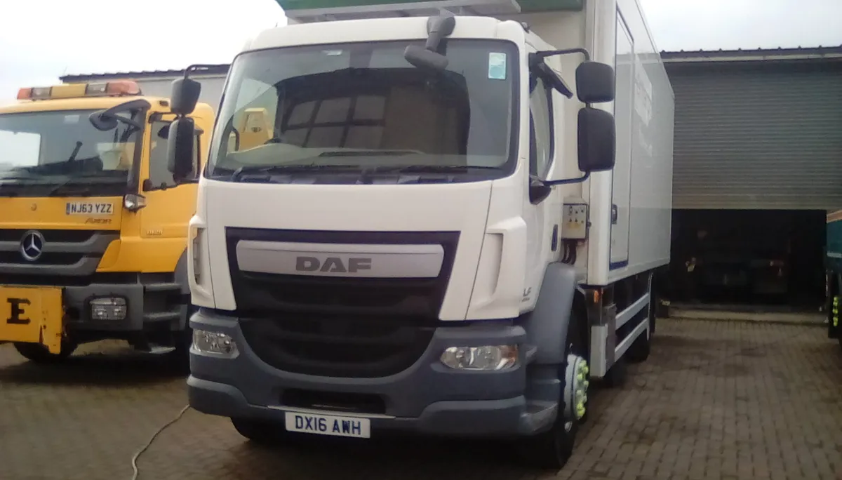 DAF LF 55 REFRIGERATED ON AIR TAIL LIFT SIDE DOOR - Image 3