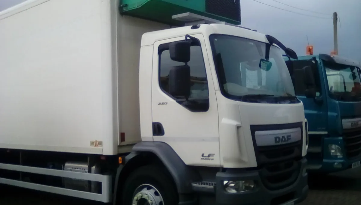 DAF LF 55 REFRIGERATED ON AIR TAIL LIFT SIDE DOOR - Image 2