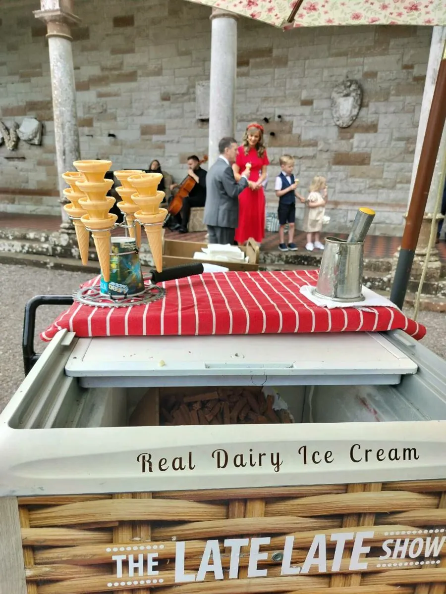 Award winning Ice cream vintage bicycle service - Image 4