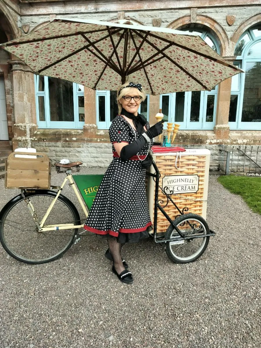 Award winning Ice cream vintage bicycle service - Image 2