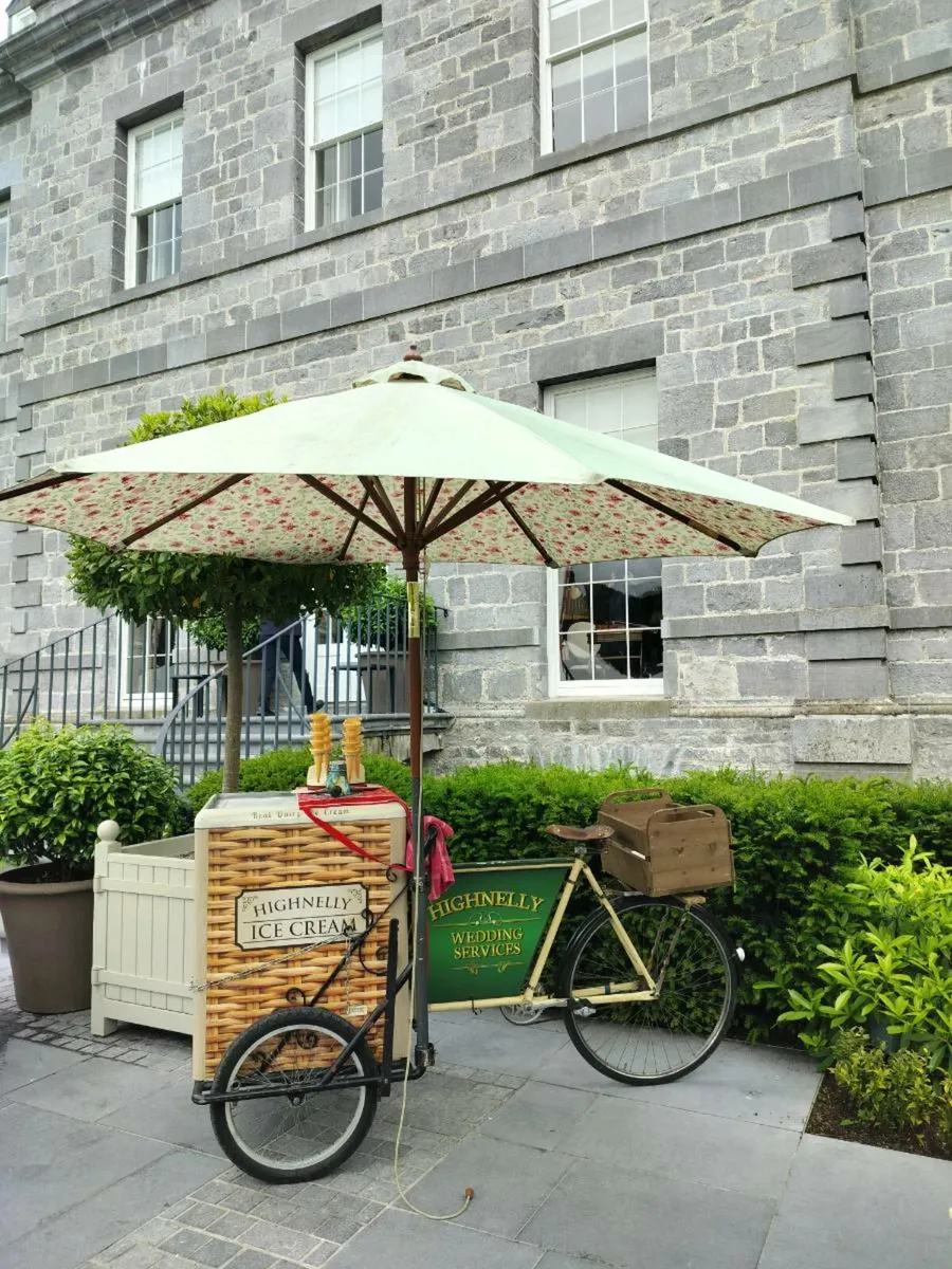 Award winning Ice cream vintage bicycle service - Image 4