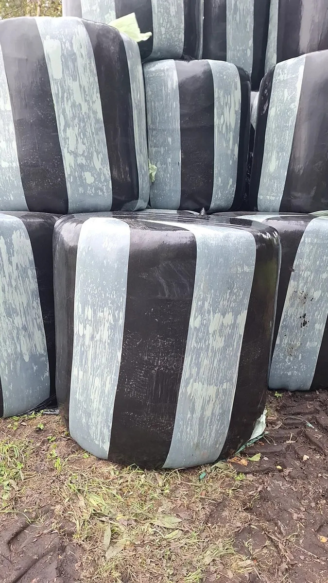 Hay and  Haylage - Image 3