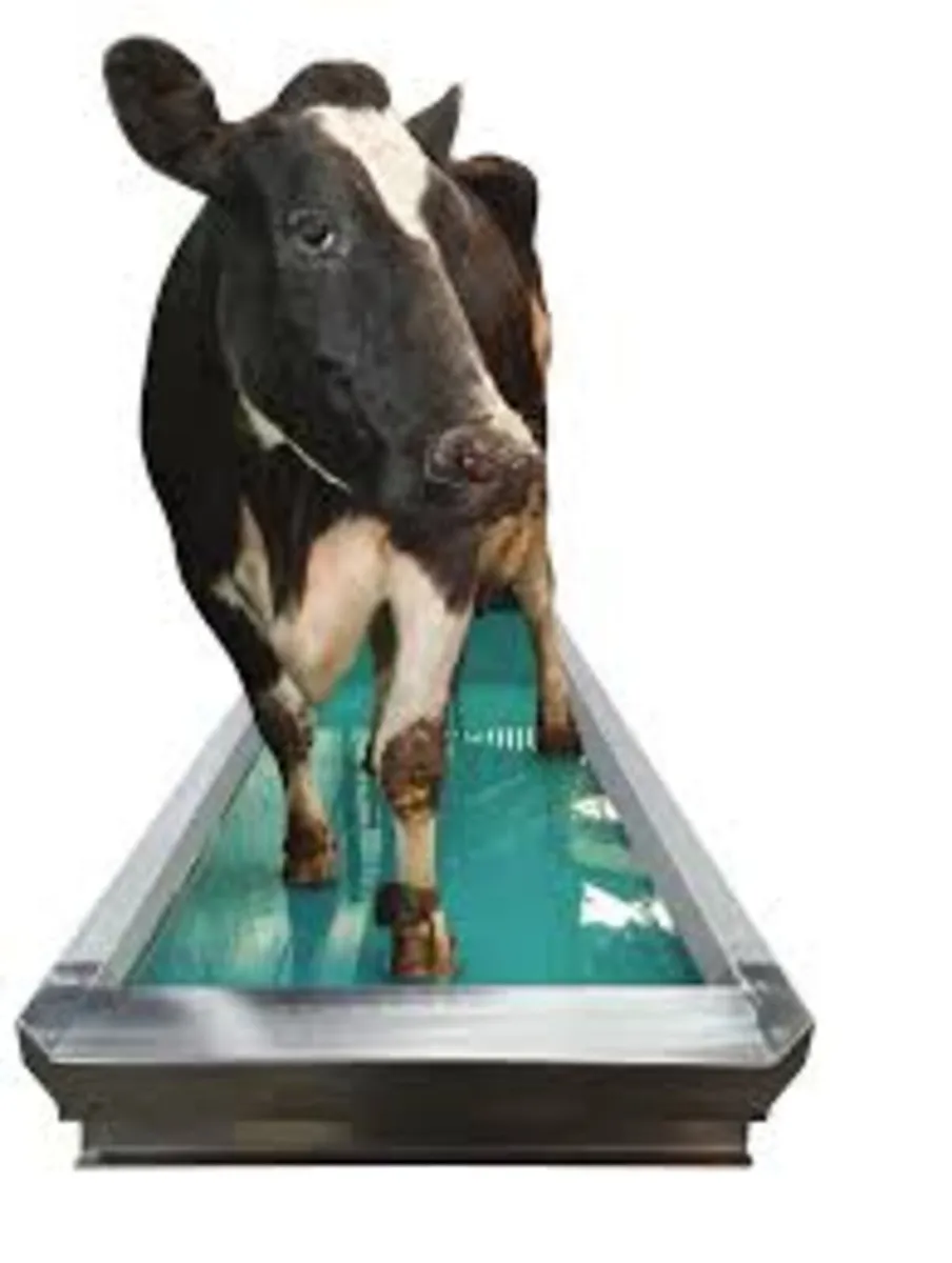 Foot-Wash Pro Auto. Footbath - Image 4