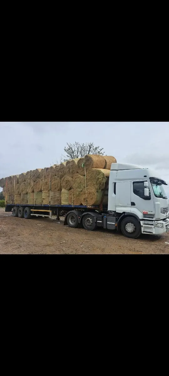 Loads of top quality hay ready to go - Image 1