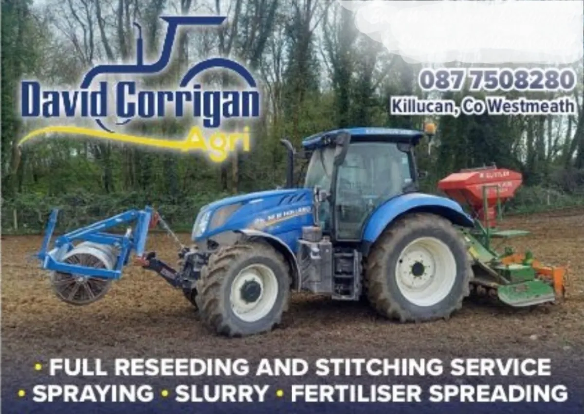 Grass Stitching / Reseeding - Image 1