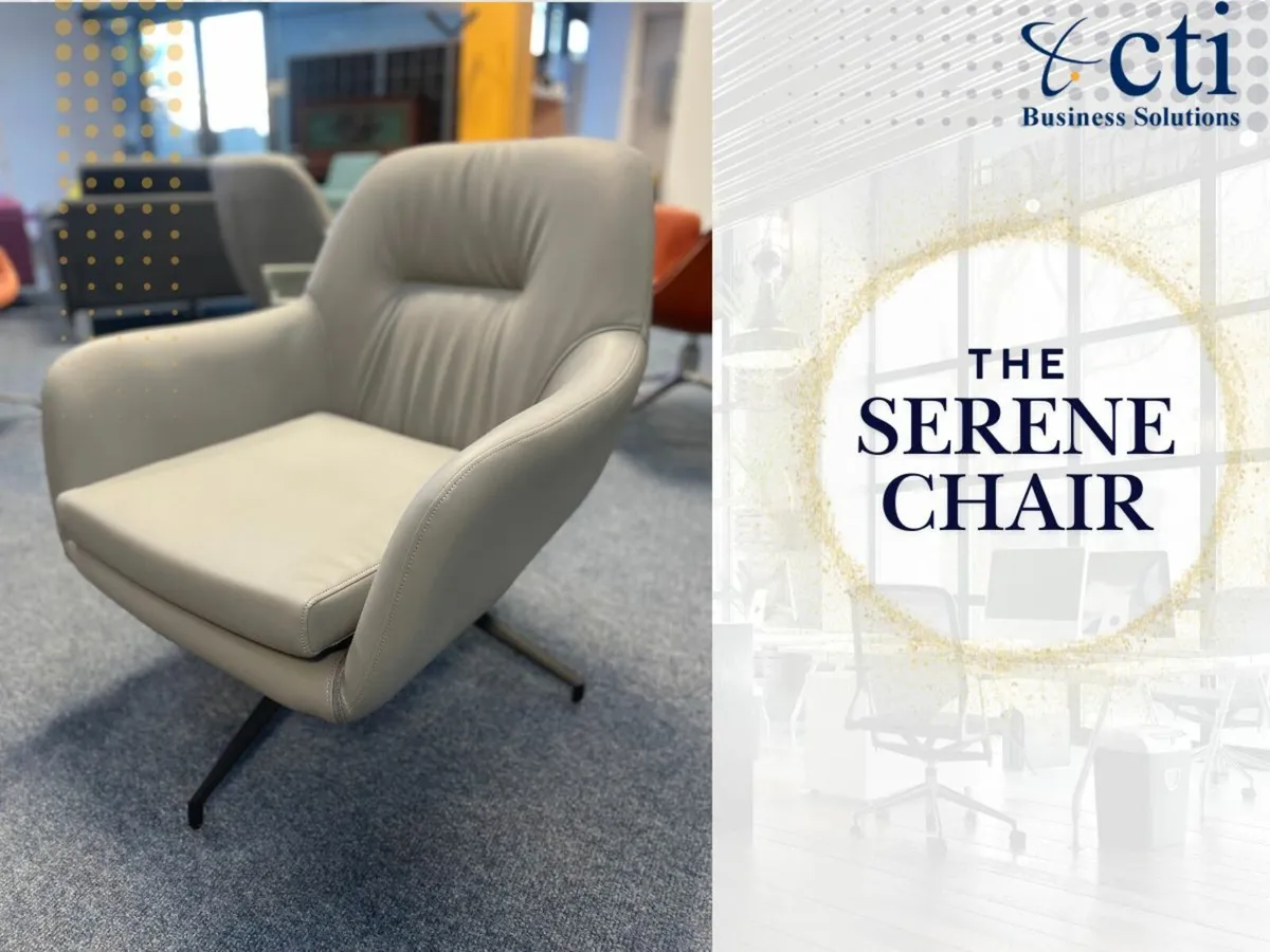 The Serene Chair - ***Brand New*** - Image 2