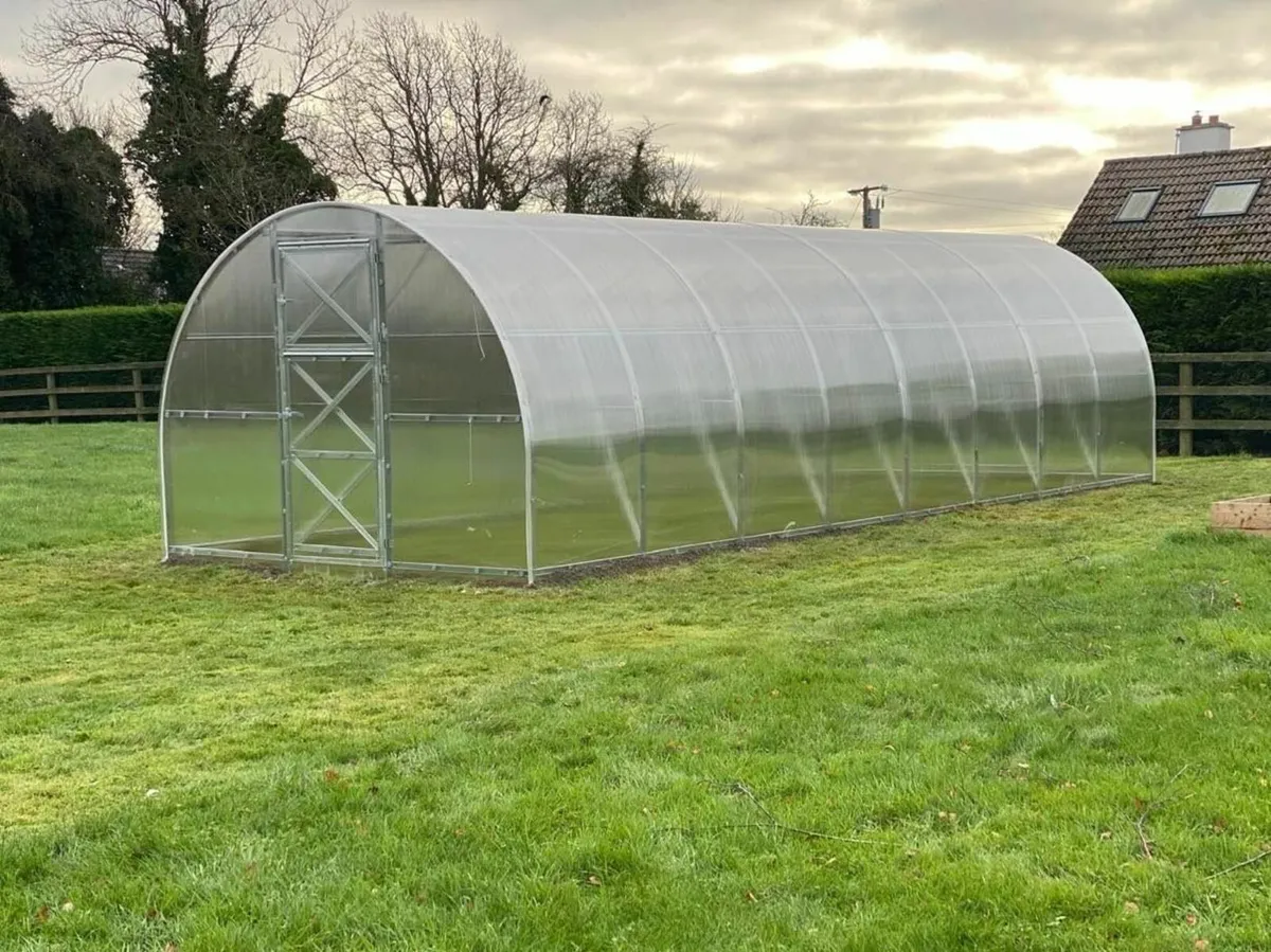 Greenhouse Strong (3m x 8m; 9.8ft x 26ft) - Image 4