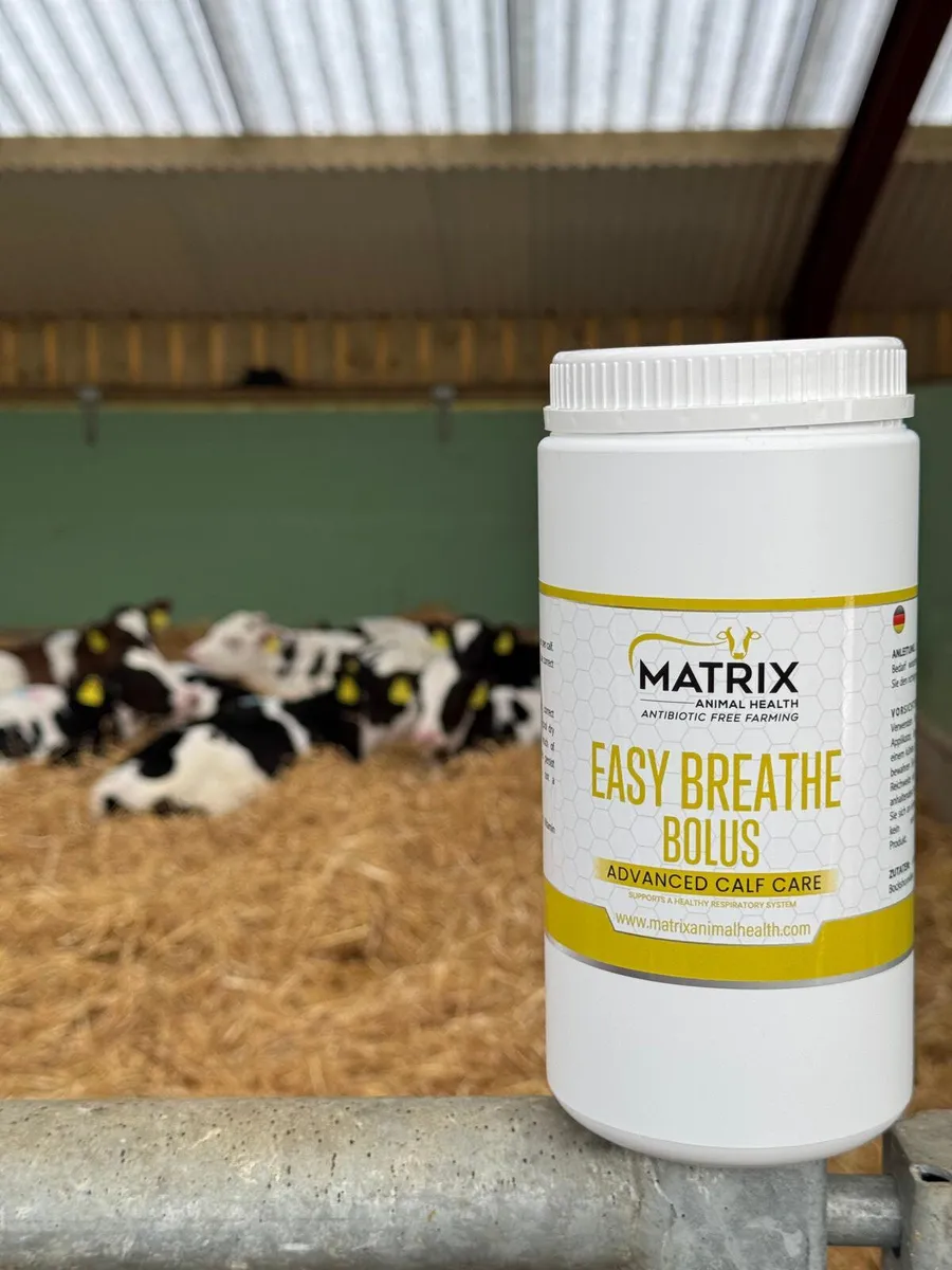 Easy Breathe Calf Bolus - Pneumonia - Image 2