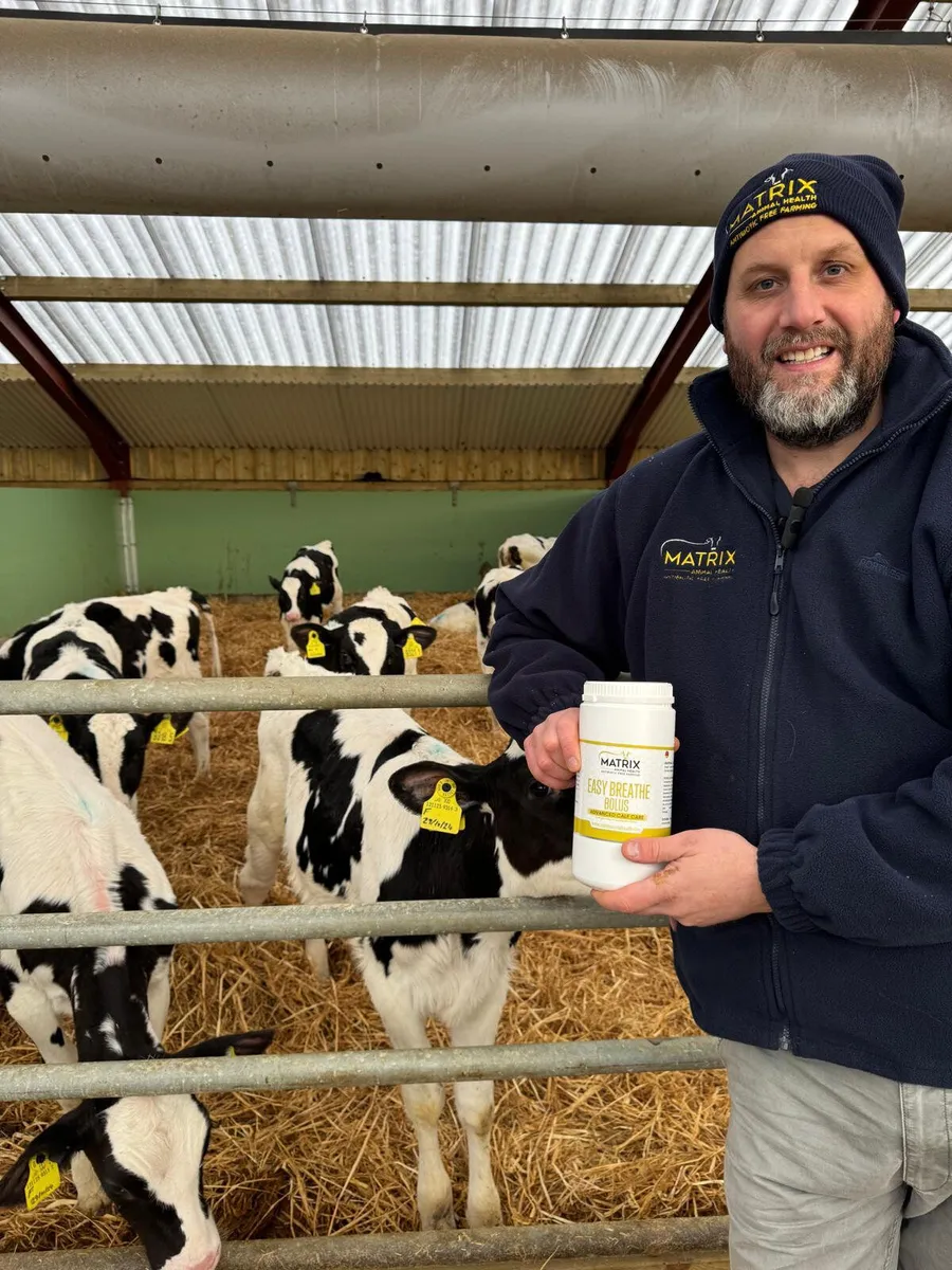 Easy Breathe Calf Bolus - Pneumonia - Image 3