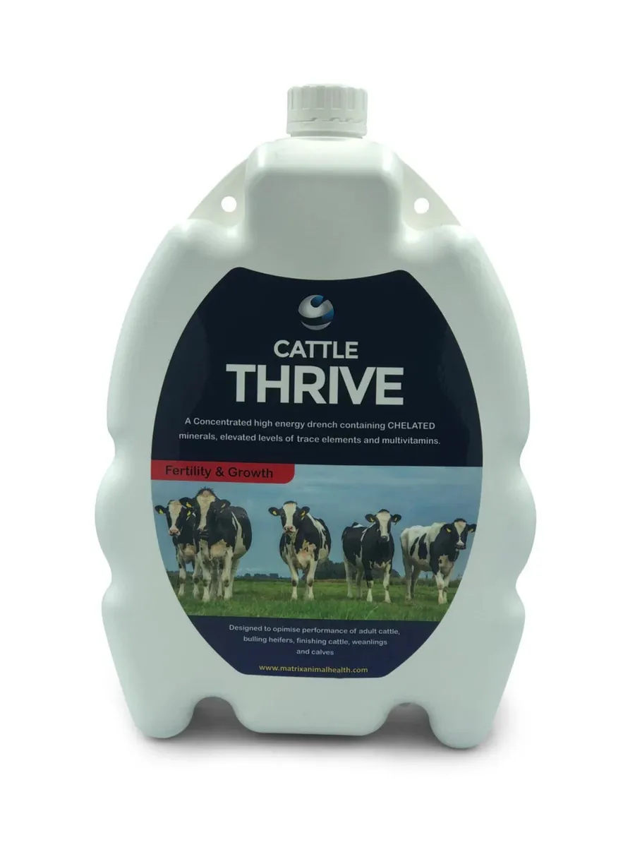 Cattle Thrive - Superior Quality Mineral Drench - Image 1