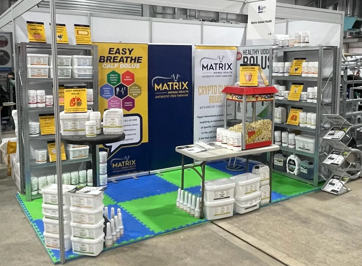 Super Boost Bolus - Image 3