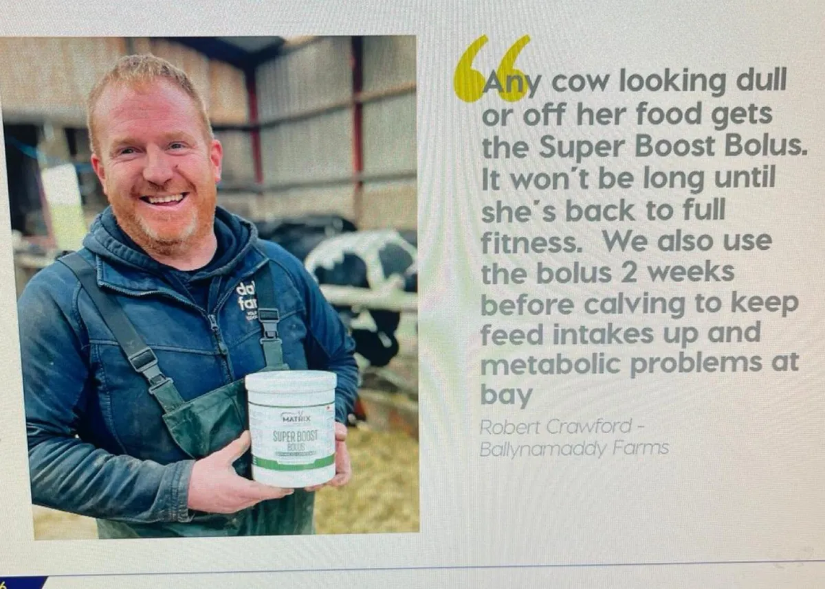 Super Boost Bolus - Image 4