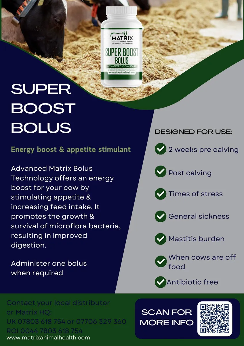 Super Boost Bolus - Image 2