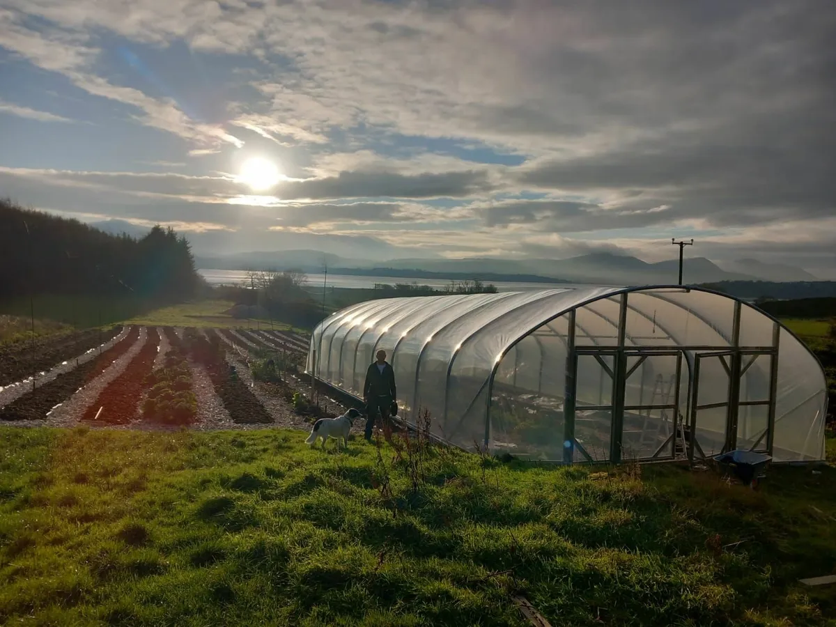 Polytunnels Sales and Repair. (Nationwide) - Image 2