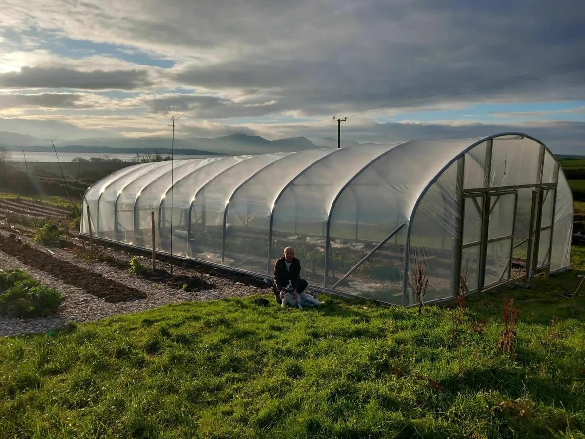 Polytunnels Sales and Repair. (Nationwide) - Image 1