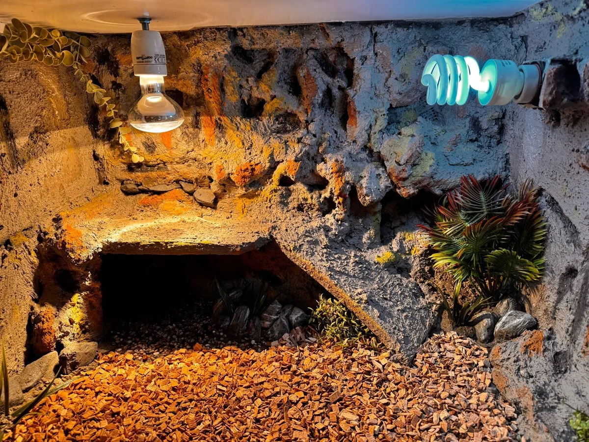 Terrarium with interior finishing - Image 3