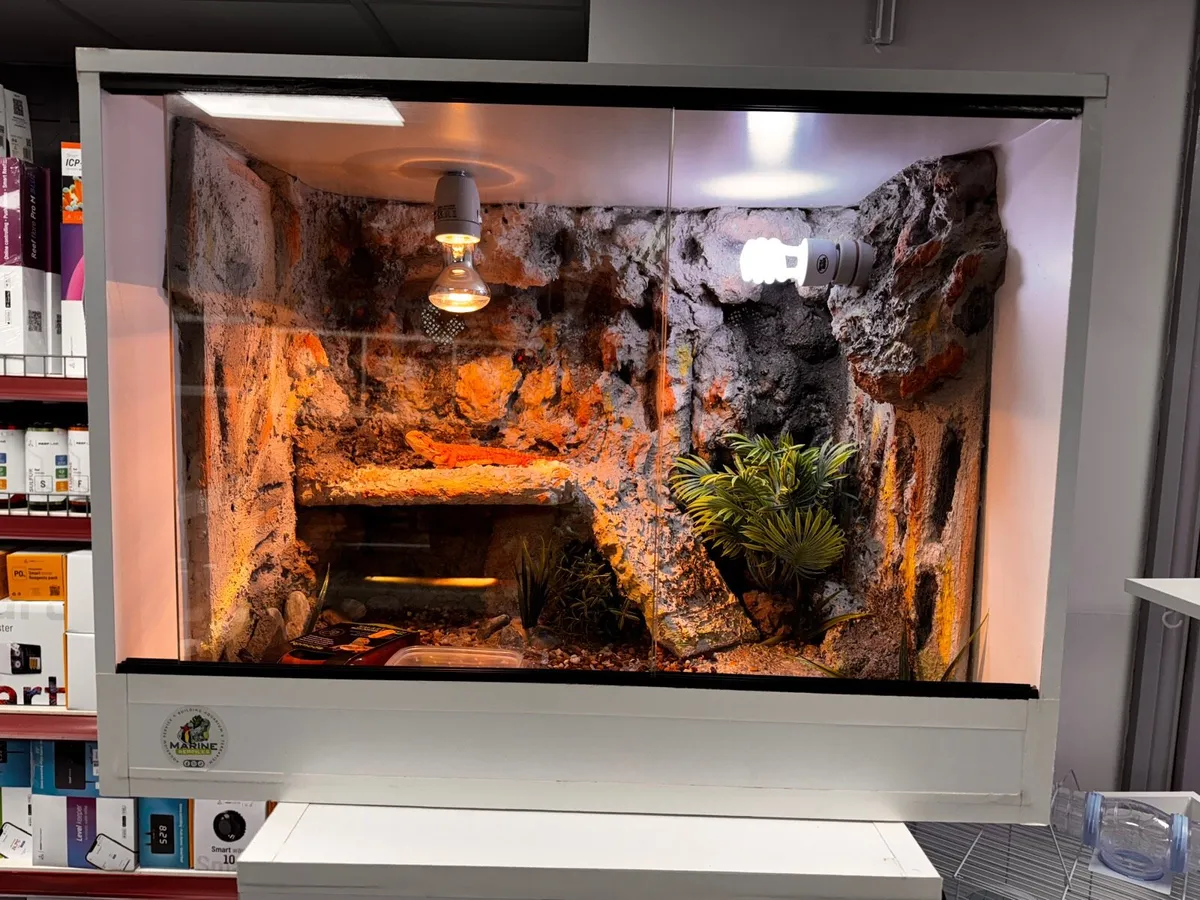 Terrarium with interior finishing - Image 1