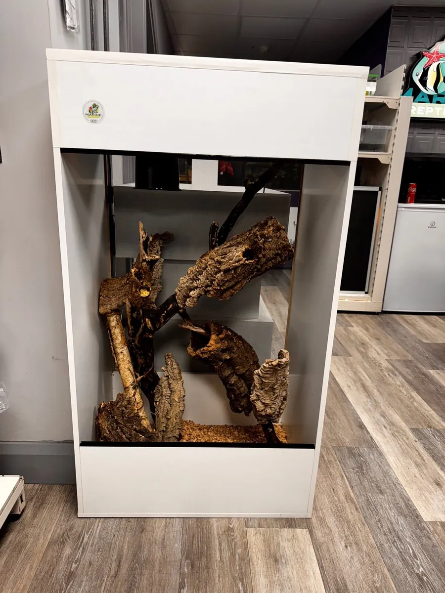 Terrarium with interior finishing - Image 4