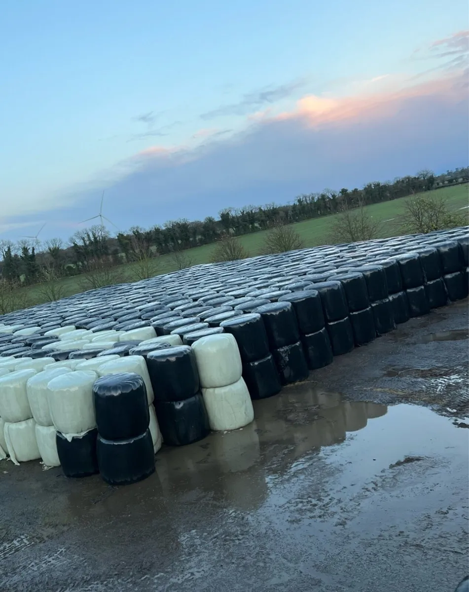 Hay & straw. Silage &haylage Chopped straw also - Image 4