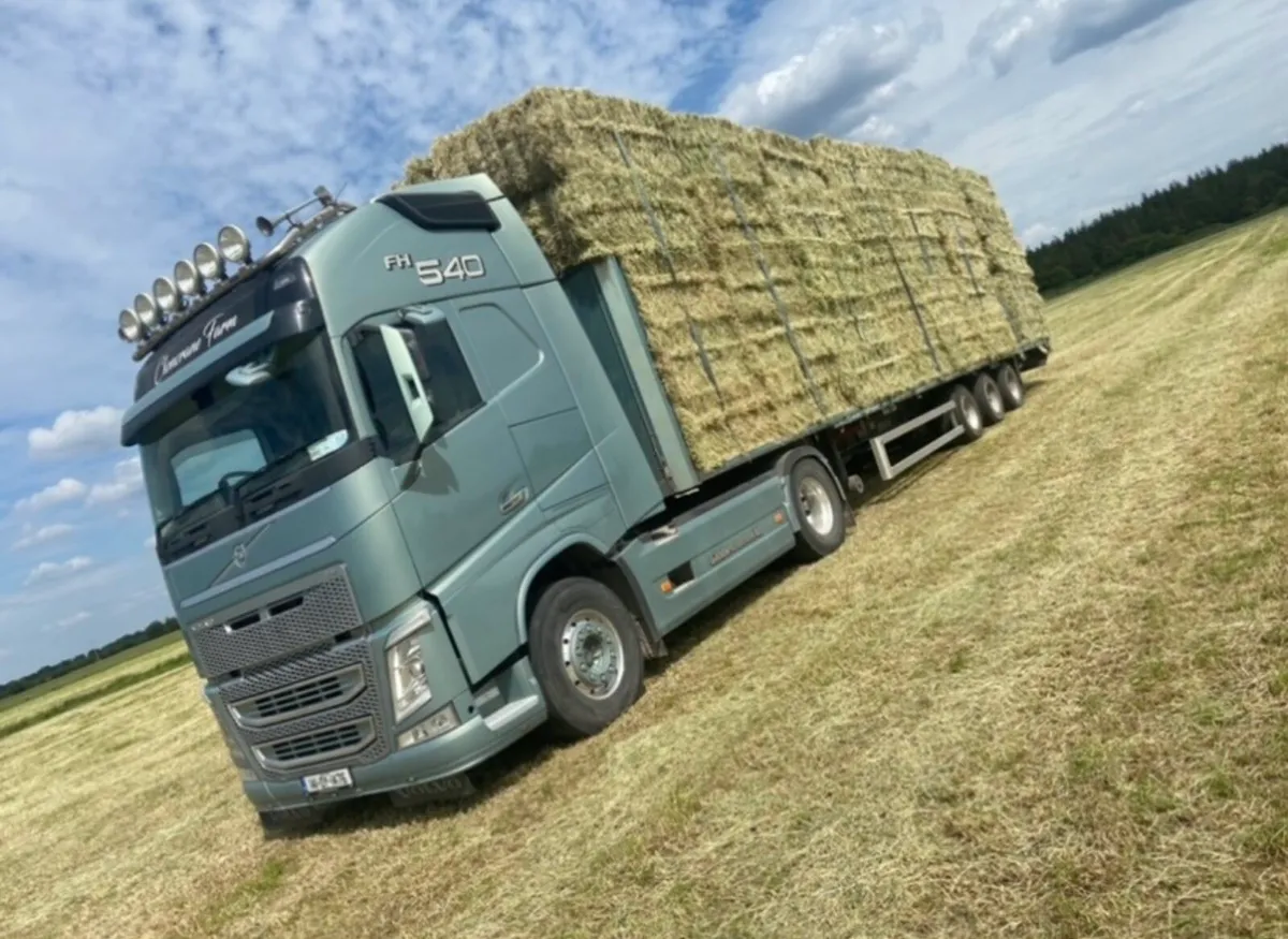 Hay & straw. Silage &haylage Chopped straw also - Image 2