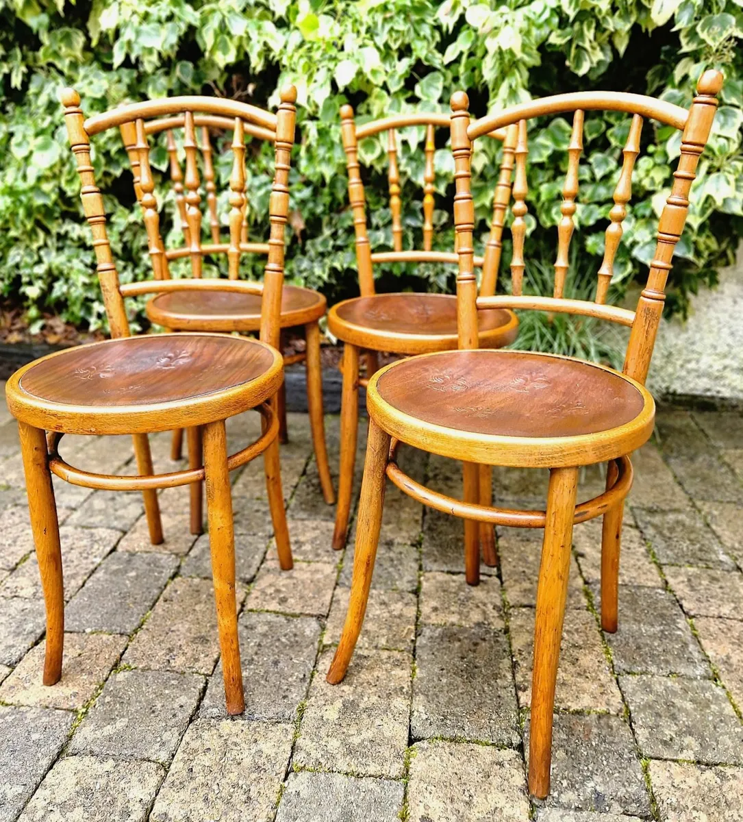 Antique Bentwood Chairs- Circa 1920 - Image 1