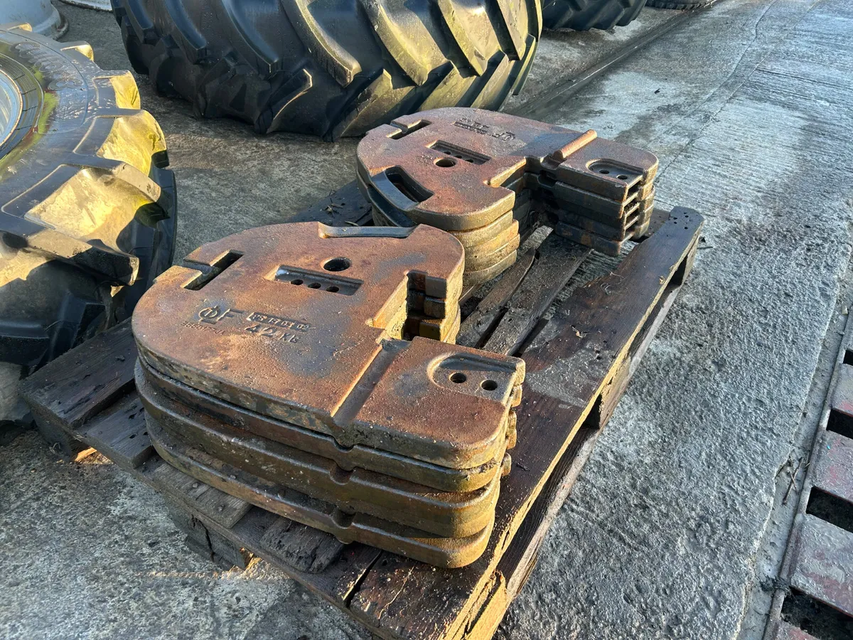Landini Legend Front Weights - Image 3