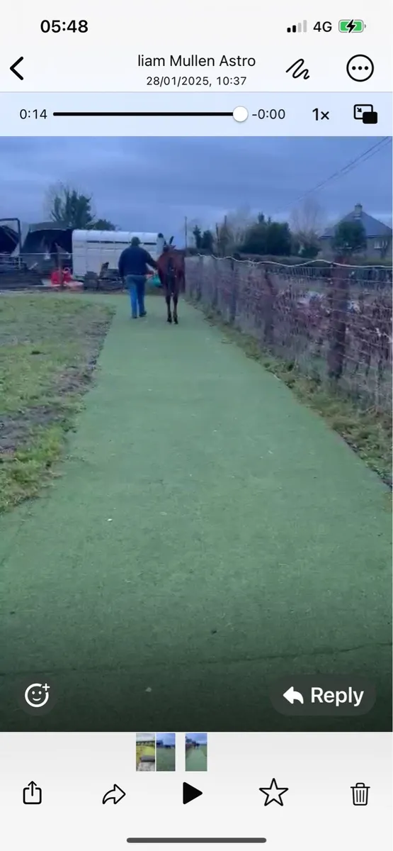 Artificial grass for sale - Image 2