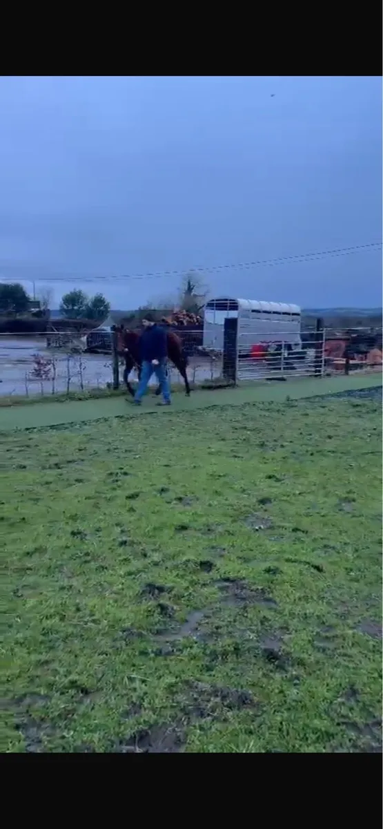 Artificial grass for sale - Image 3