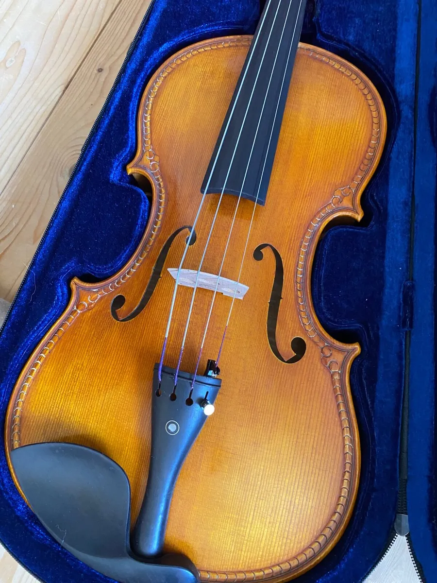 Viola - Image 2