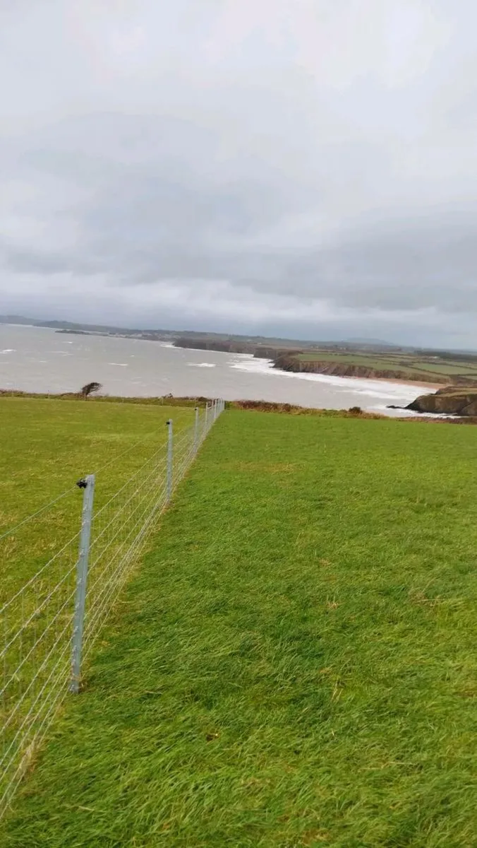 Wexford Scenic 3 acre field - Image 1