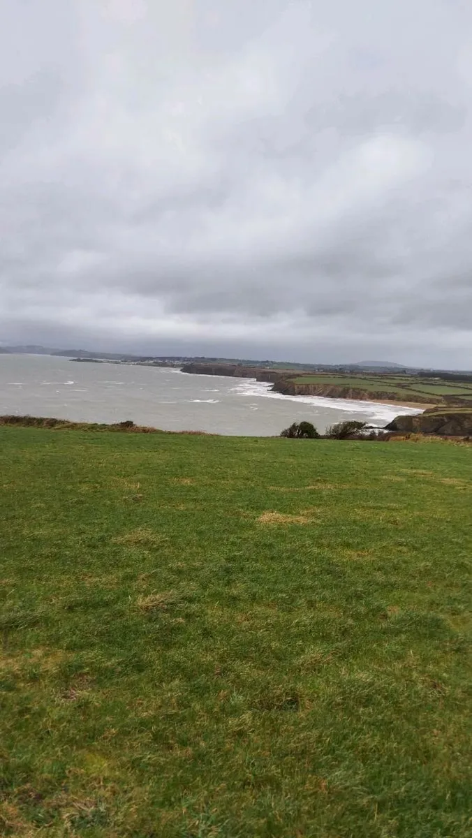 Wexford Scenic 3 acre field - Image 2