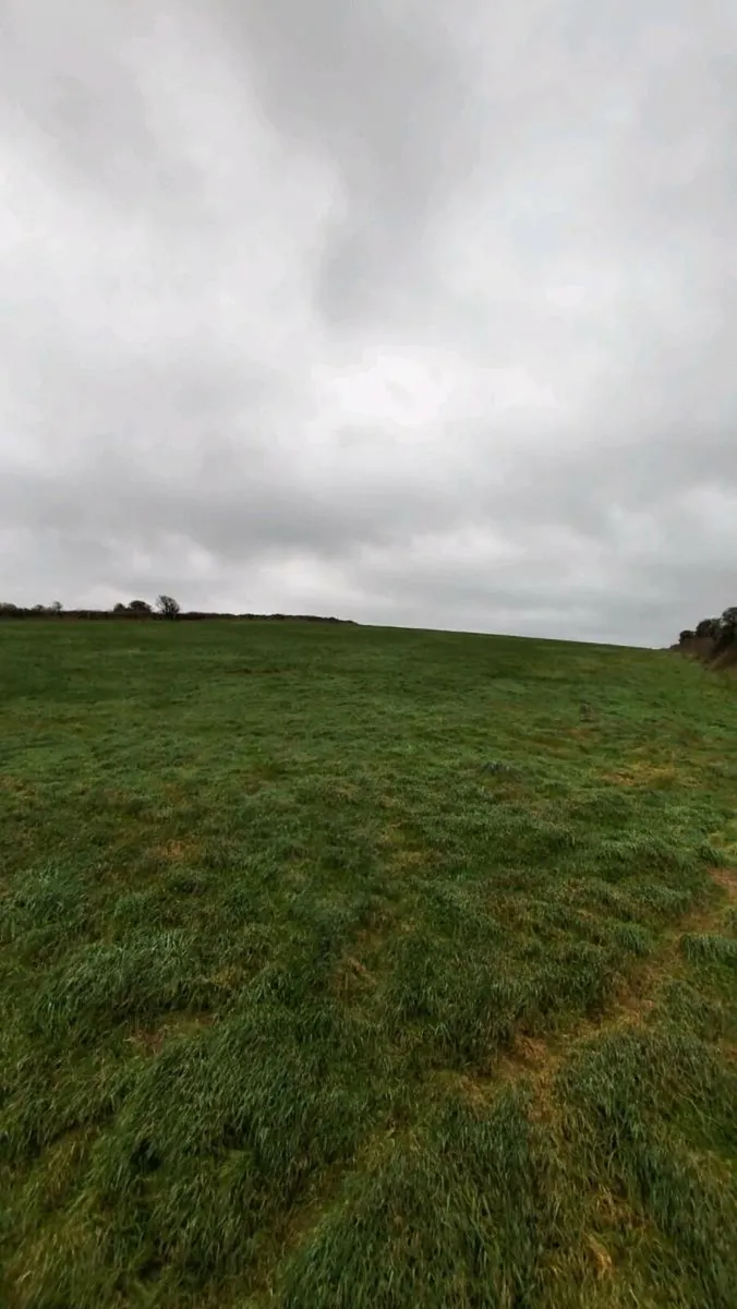 Wexford Scenic 3 acre field - Image 3