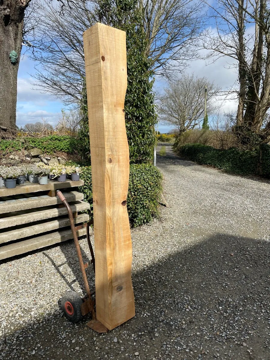 Monkey puzzle timber post/beam - Image 3