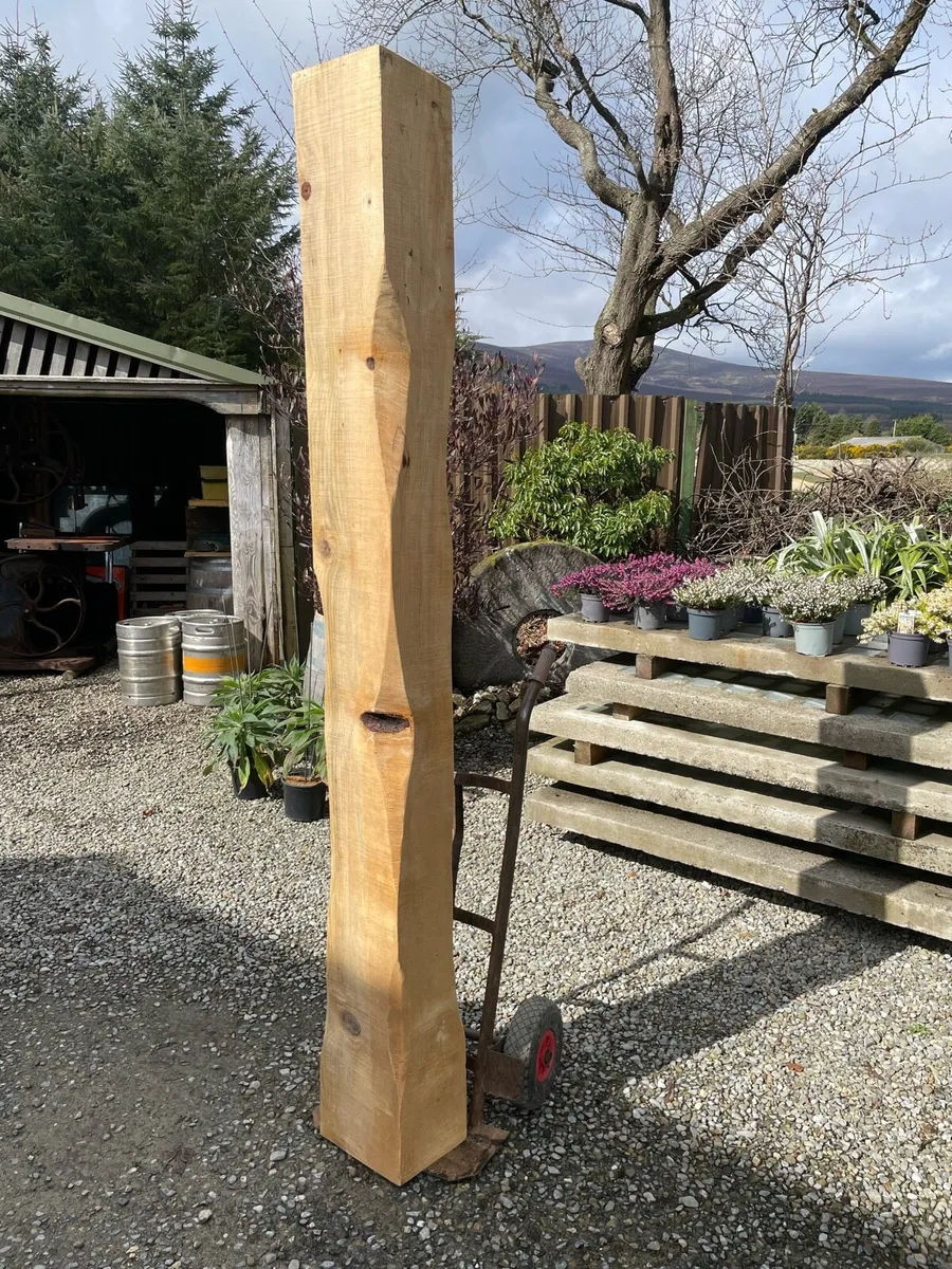 Monkey puzzle timber post/beam - Image 1