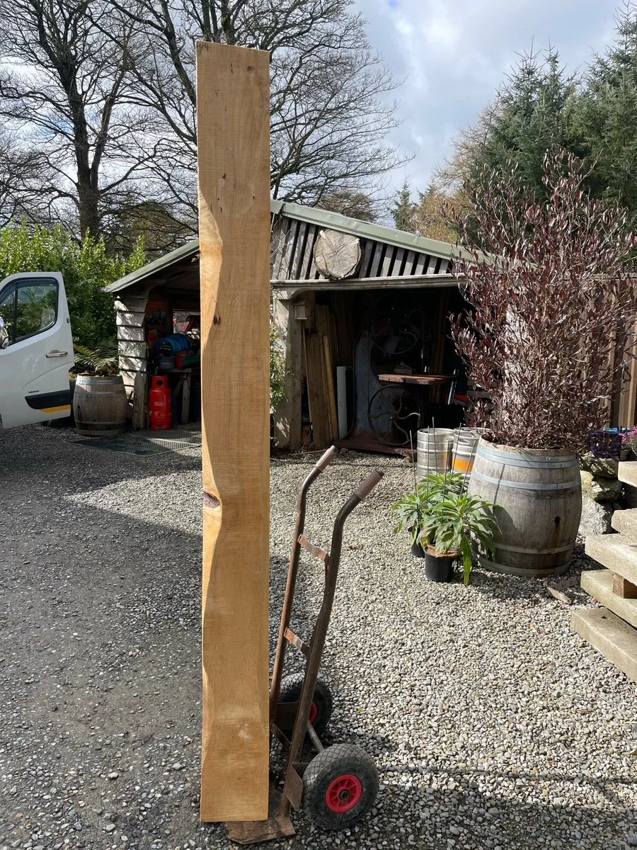 Monkey puzzle timber post/beam - Image 2