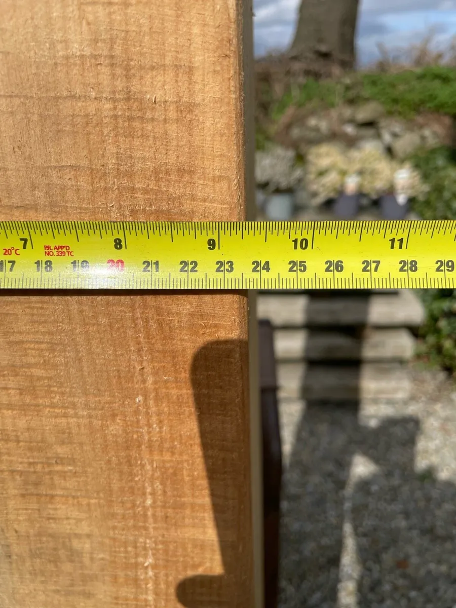 Monkey puzzle timber post/beam - Image 4