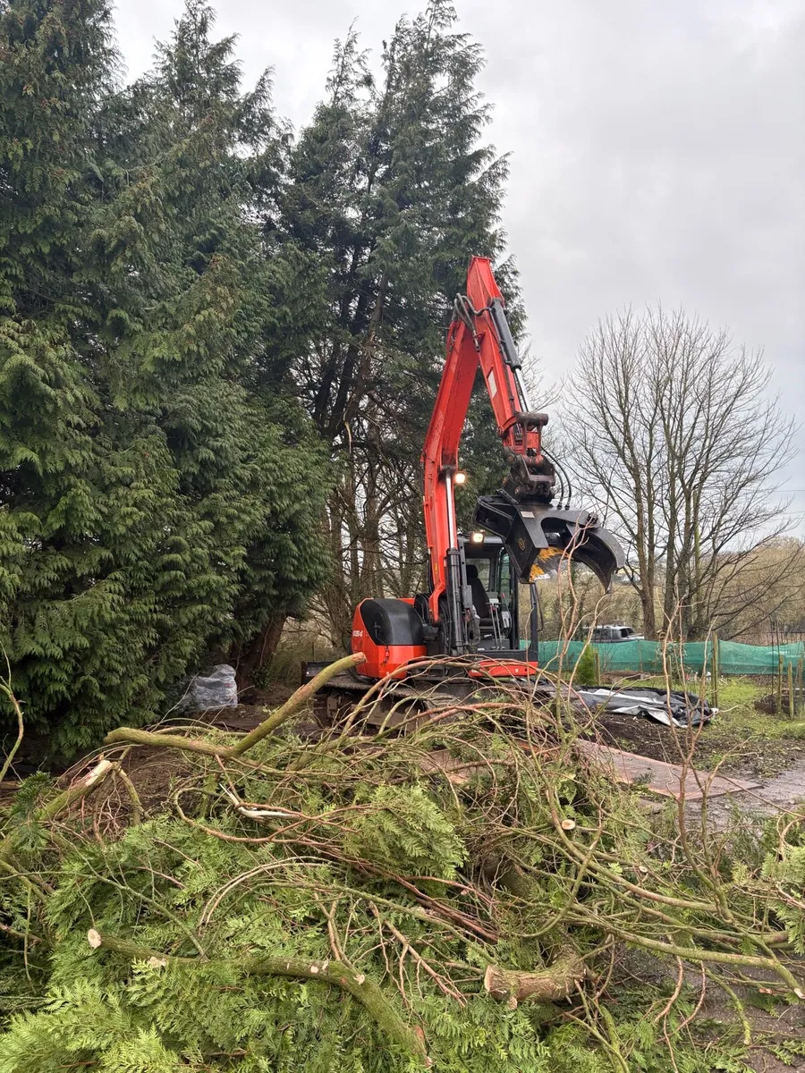 Tree surgery/site clearance - Image 1