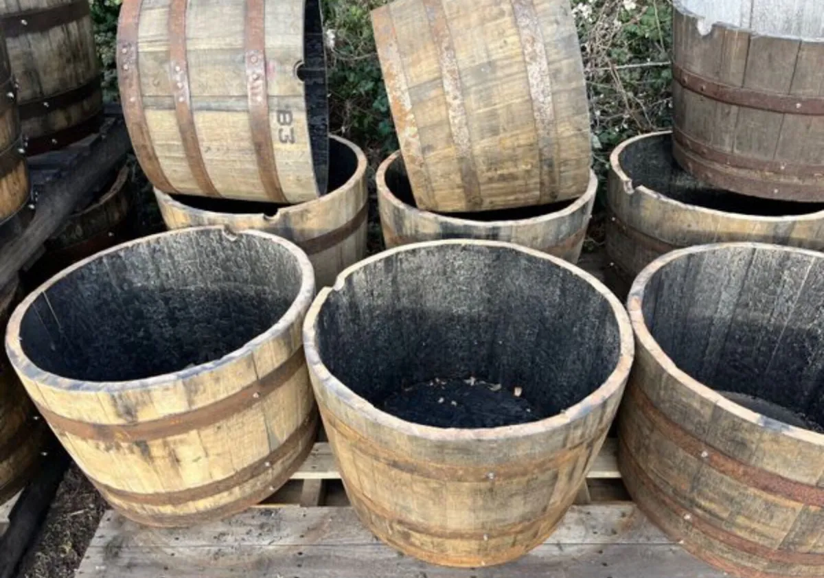 Oak whiskey barrel and planters - Image 3