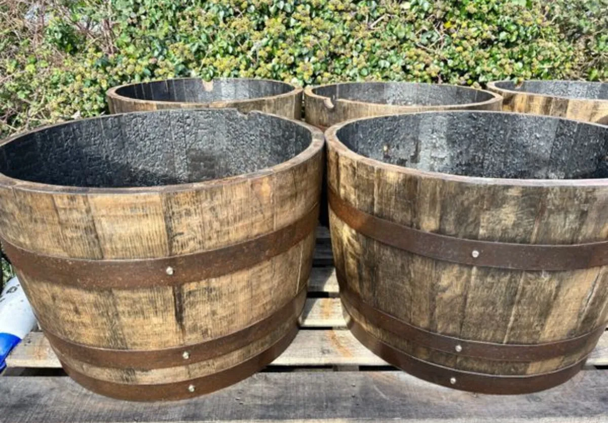 Oak whiskey barrel and planters - Image 4