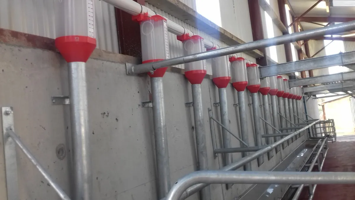 Augers & Batch Feeding systems , Meal silos - Image 4