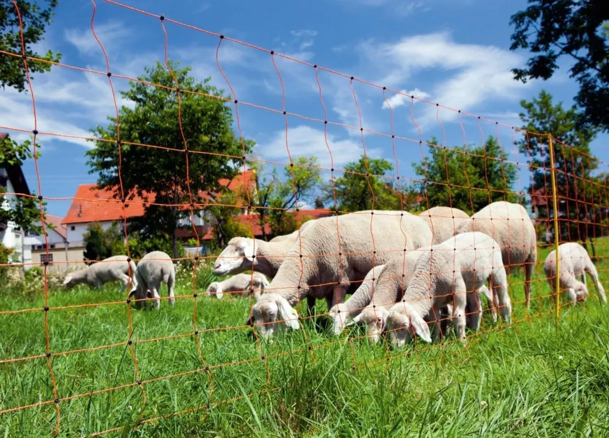 Electric Sheep Fencing with Posts. 50m Long - Image 1