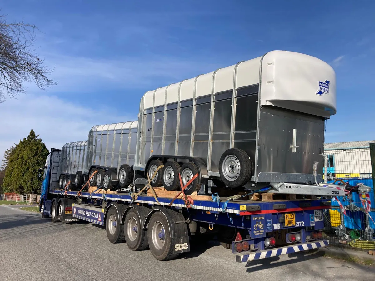 New Ifor Williams 14ft 7ft High Horse Trailer
