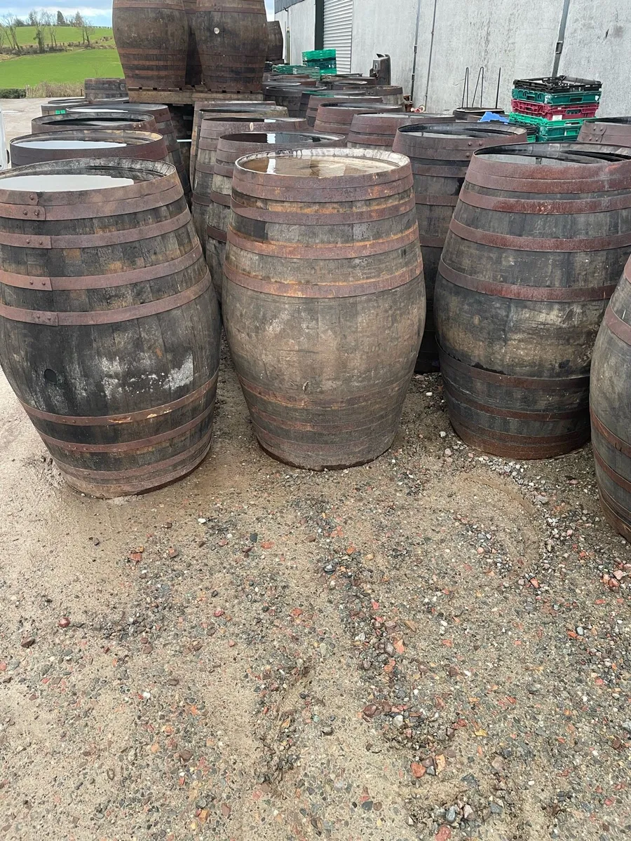 500L whiskey barrels ideal for ice baths - Image 1