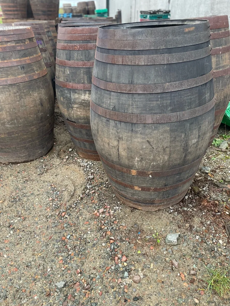 500L whiskey barrels ideal for ice baths - Image 3