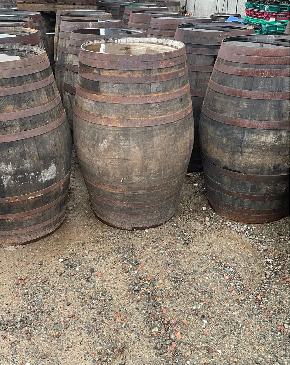 500L whiskey barrels ideal for ice baths - Image 4