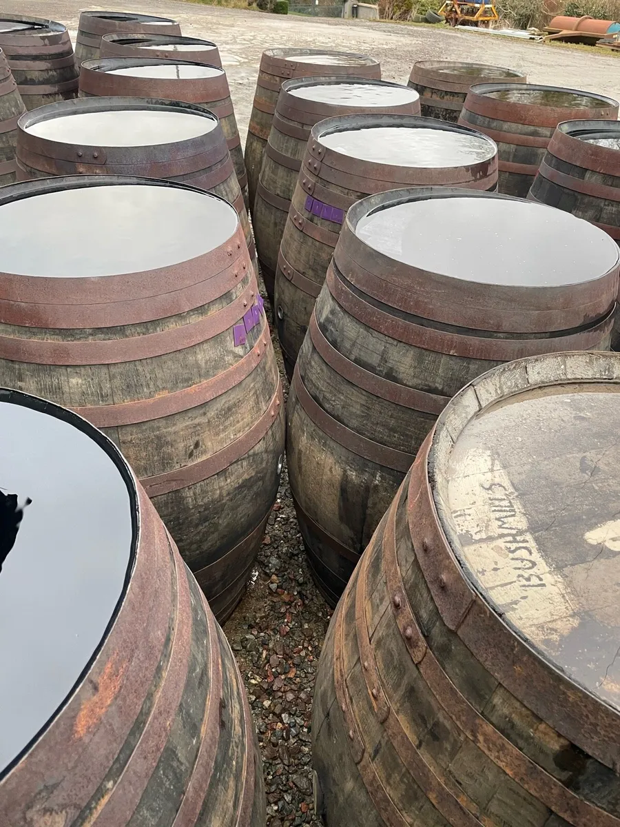 500L whiskey barrels ideal for ice baths - Image 2