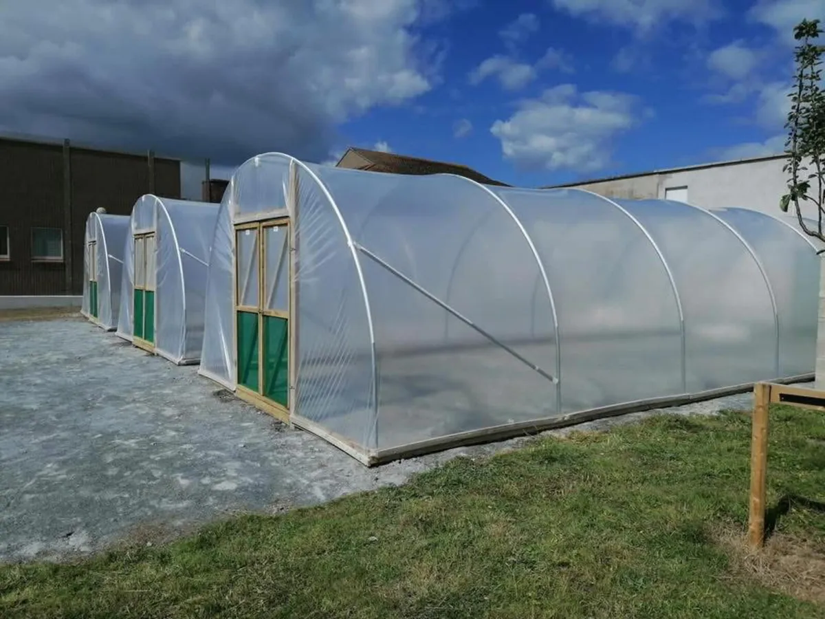 Polytunnels - Image 2