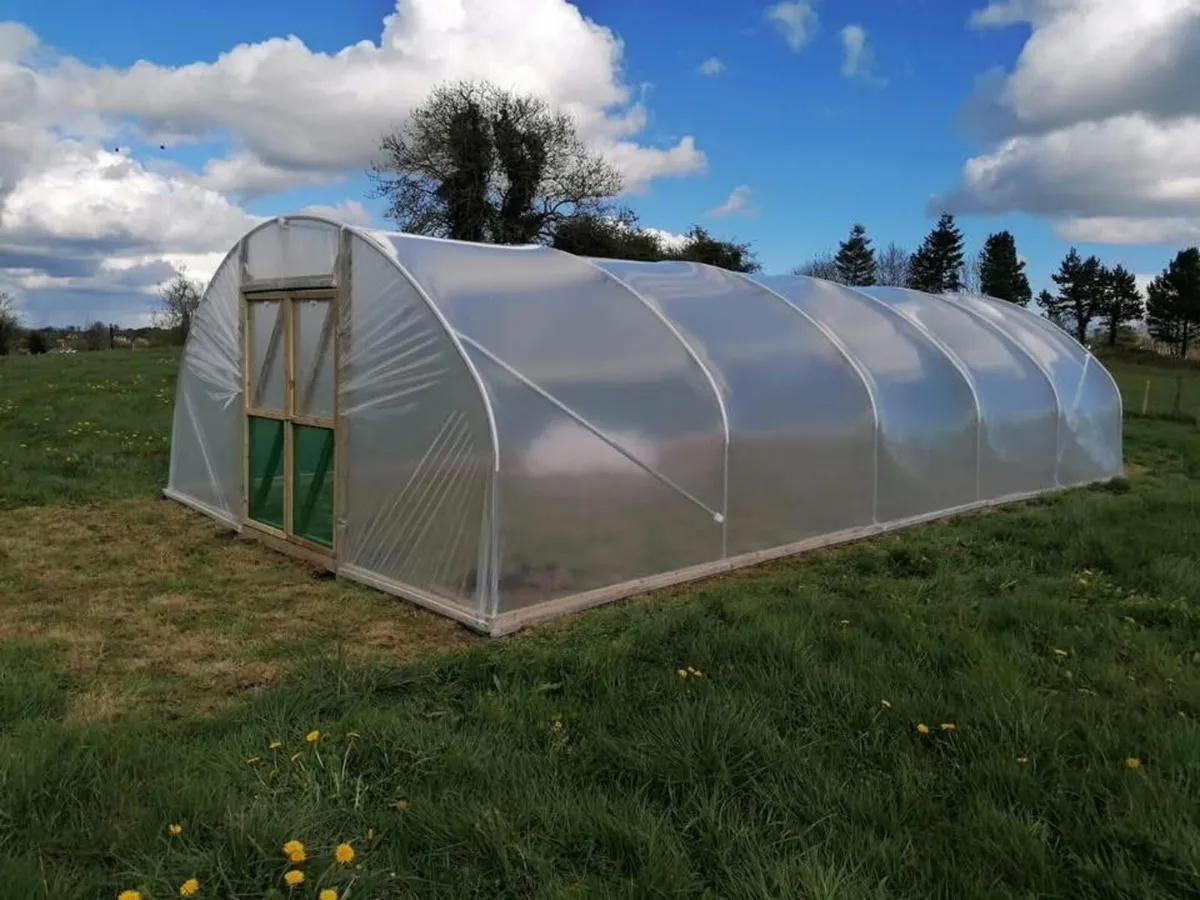Polytunnels - Image 1