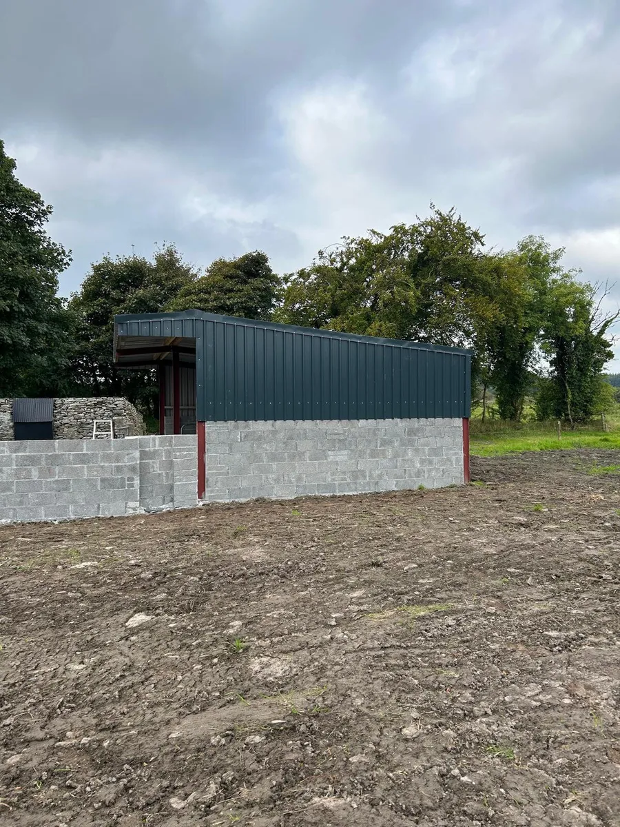 Shed Rsj Kit 20ftx32ft - Image 2