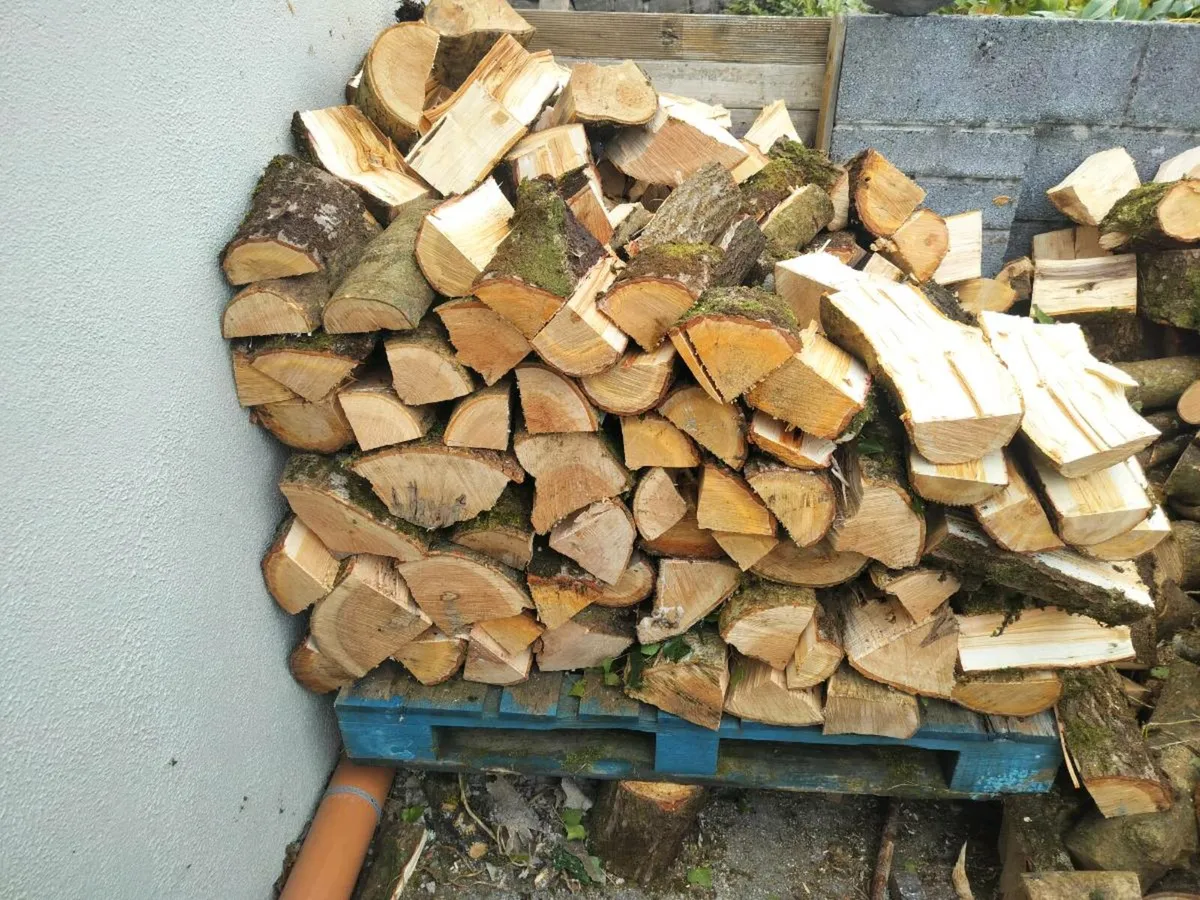 Log splitter for hire Galway - Image 2